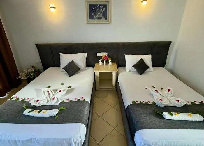 Heaven Regency 3* Sarm es-Sejk